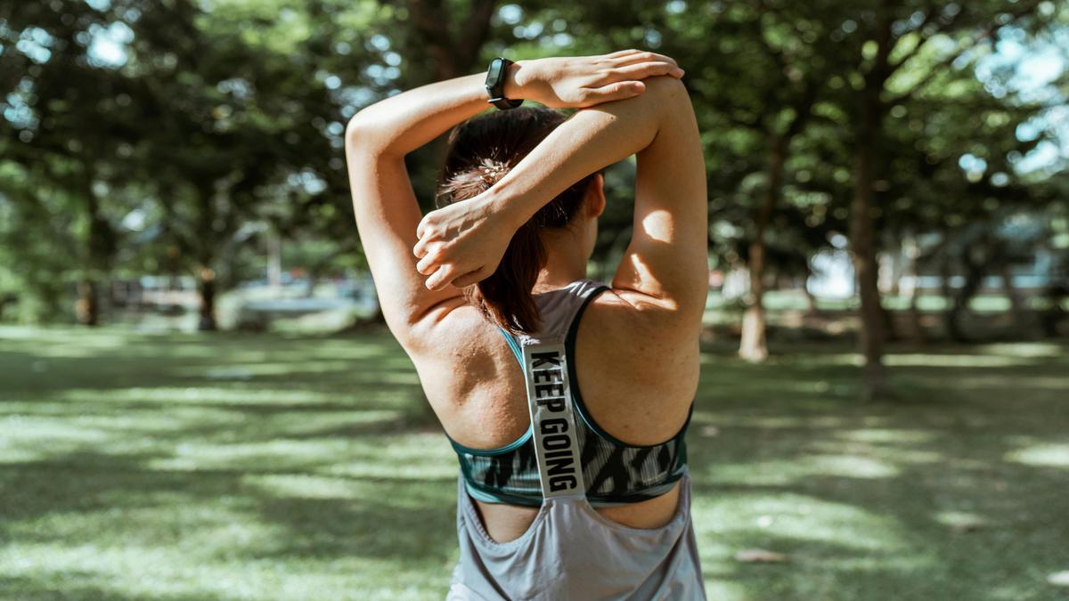 Treinos de musculação para iniciantes para fortalecer as costas